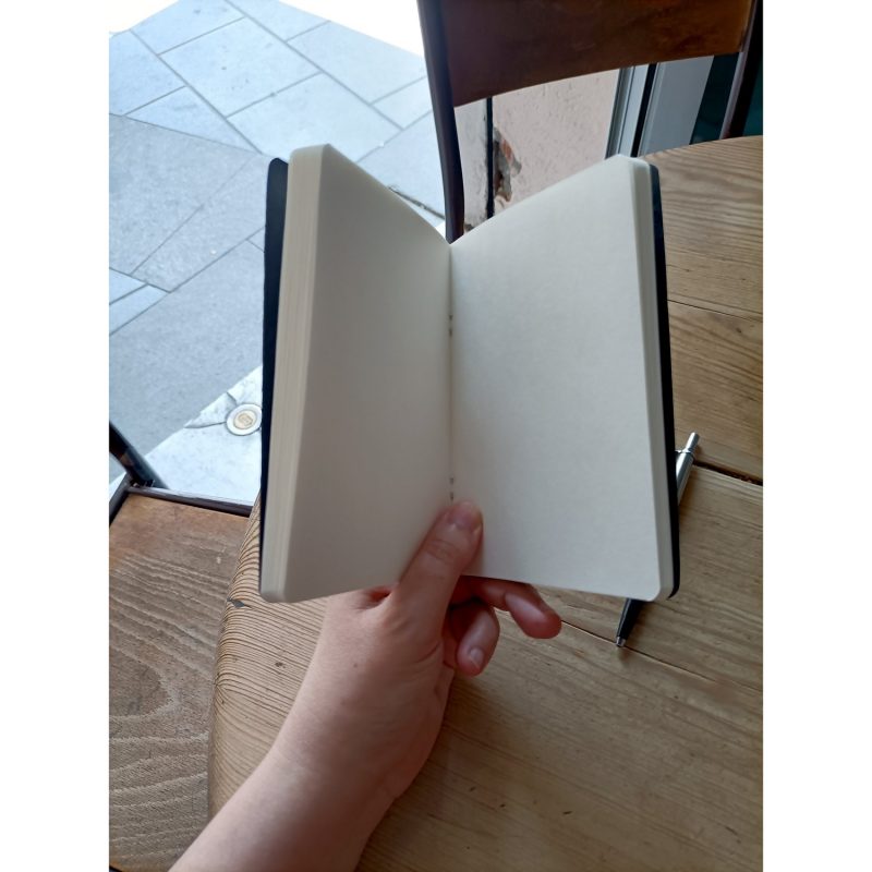 LIBRETA-ABEJA-NEGRA-INTERIOR