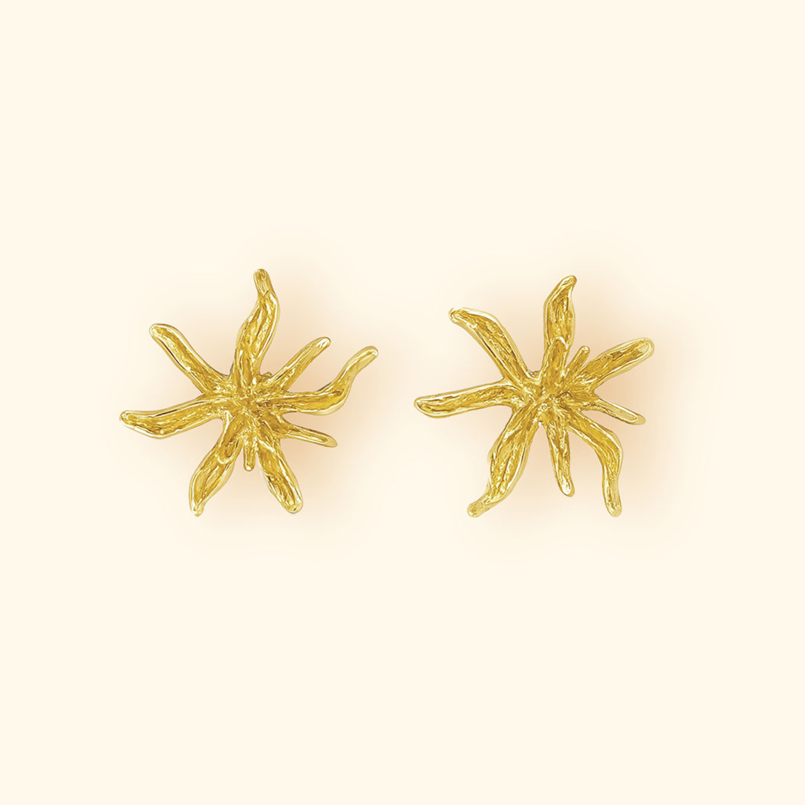 Pendientes Coralina